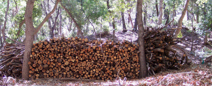 Sustainably harvested wood